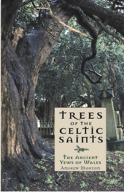 Clawr llyfr / Book cover: Trees of the Celtic Saints  The Ancient Yews of Wales