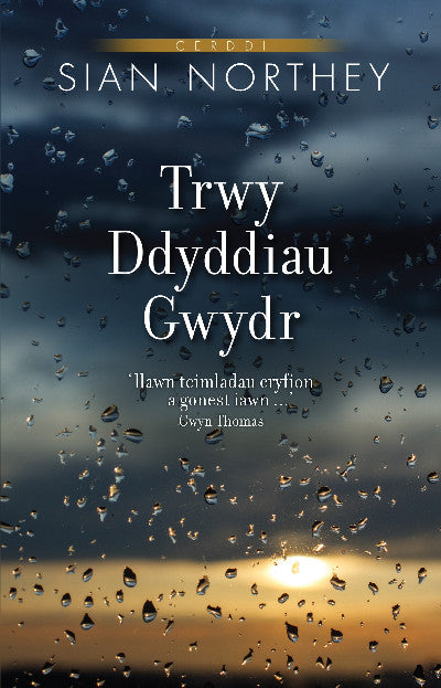 Clawr llyfr / Book cover: Trwy Ddyddiau Gwydr