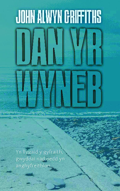 Clawr llyfr / Book cover: Dan yr Wyneb