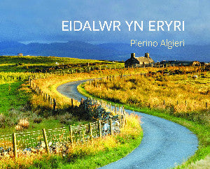 Eidalwr yn Eryri