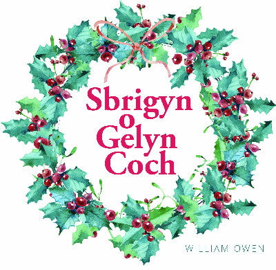 Clawr llyfr / Book cover: Cyfres Celc Cymru: Sbrigyn o Gelyn Coch