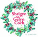 Sbrigyn o Gelyn Coch