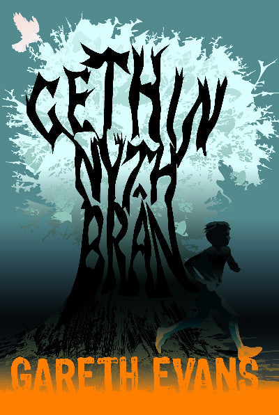 Clawr llyfr / Book cover: Gethin Nyth Brân