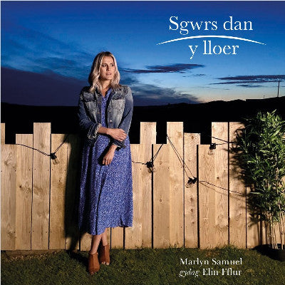 Clawr llyfr / Book cover: Sgwrs dan y Lloer