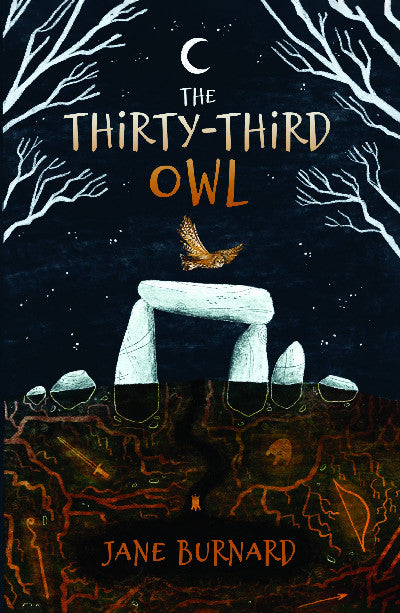 Clawr llyfr / Book cover: Thirty-Third Owl, The