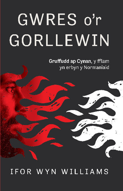 Clawr llyfr / Book cover: Gwres o'r Gorllewin — Gruffudd Ap Cynan, Y Fflam yn Erbyn y Normaniaid