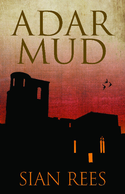 Clawr llyfr / Book cover: Adar Mud