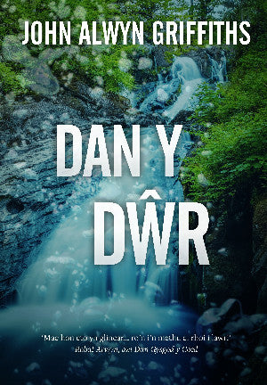 Dan y D?r