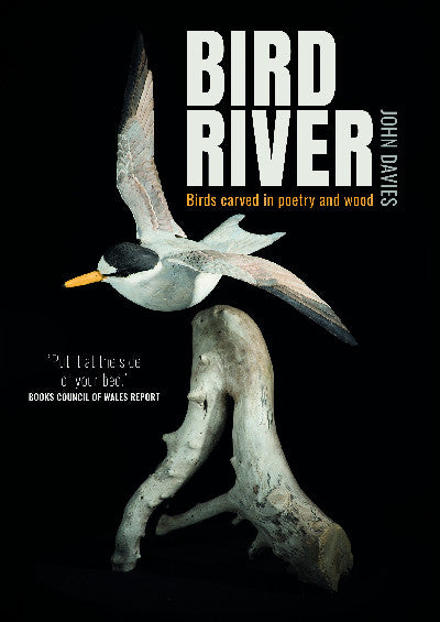 Clawr llyfr / Book cover: Bird River