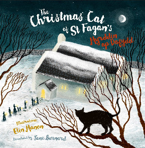 The Christmas Cat at St Fagan's 