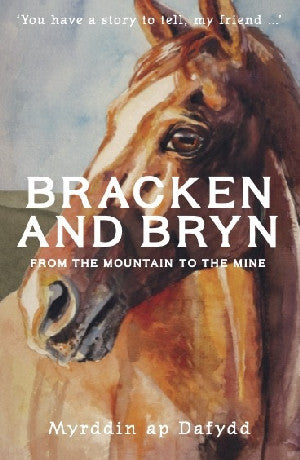 Bracken and Bryn - from the mountain to the mine 