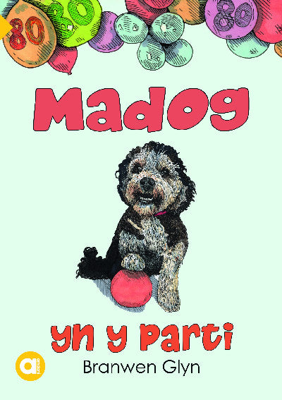 Clawr llyfr / Book cover: Cyfres Amdani: Madog yn y Parti
