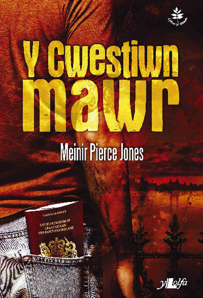 Clawr llyfr / Book cover: Cyfres yr Onnen: Y Cwestiwn Mawr