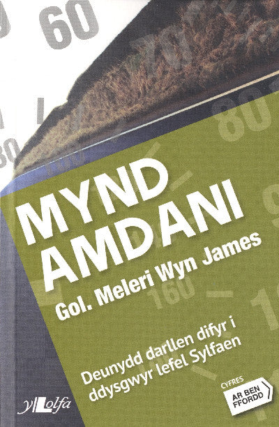 Clawr llyfr / Book cover: Cyfres ar Ben Ffordd: Mynd Amdani - Lefel 2 Sylfaen — Lefel 2: Sylfaen