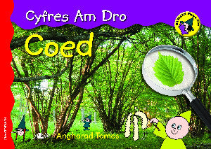 Llyfr Coed