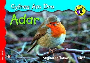Llyfr Adar
