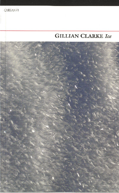 Clawr llyfr / Book cover: Ice