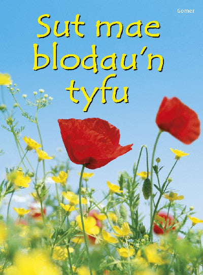 Clawr llyfr / Book cover: Cyfres Dechrau Da: Sut Mae Blodau'n Tyfu?