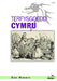 Terfysgoedd Cymru