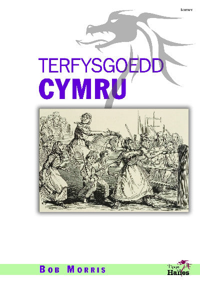 Clawr llyfr / Book cover: Tipyn O'n Hanes: Terfysgoedd Cymru