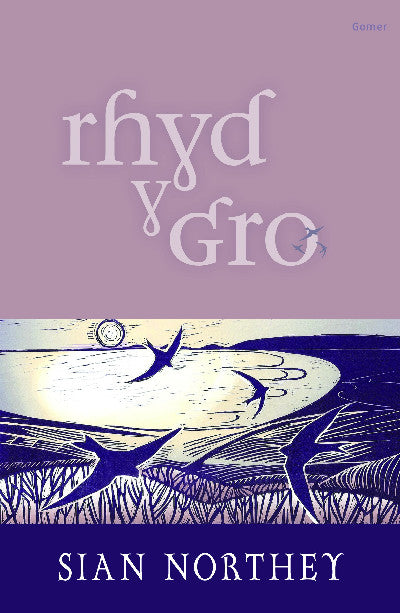Clawr llyfr / Book cover: Rhyd y Gro