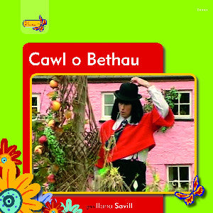 Cawl o Bethau
