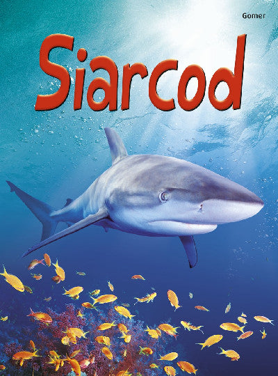 Clawr llyfr / Book cover: Cyfres Dechrau Da: Siarcod