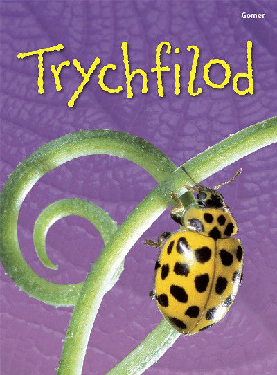 Clawr llyfr / Book cover: Cyfres Dechrau Da: Trychfilod