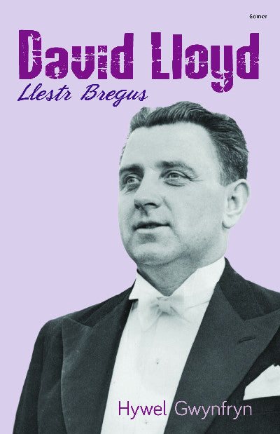 Clawr llyfr / Book cover: David Lloyd - Llestr Bregus