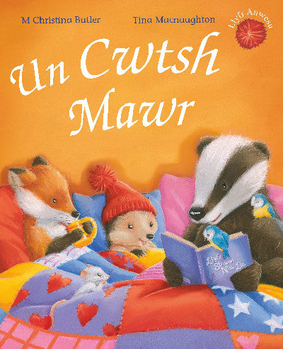 Clawr llyfr / Book cover: Cyfres Draenog Bach: Un Cwtsh Mawr