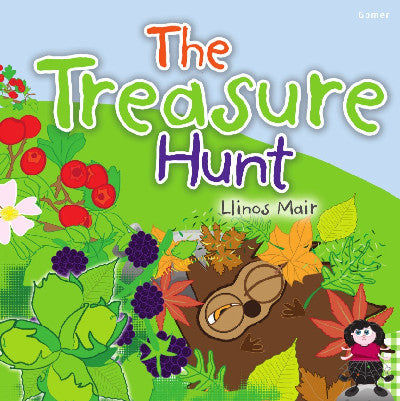Clawr llyfr / Book cover: Wenfro Series: The Treasure Hunt