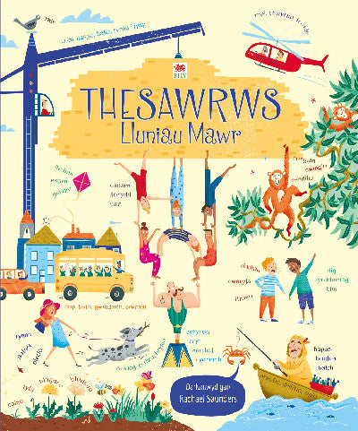 Clawr llyfr / Book cover: Thesawrws Lluniau Mawr