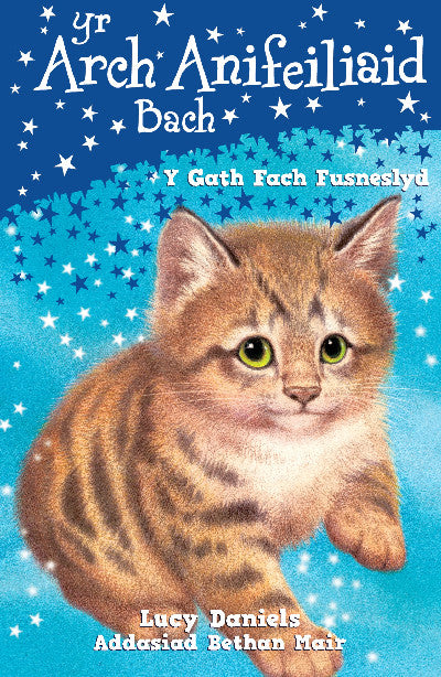 Clawr llyfr / Book cover: Cyfres yr Arch Anifeiliaid Bach: Y Gath Fach Fusneslyd