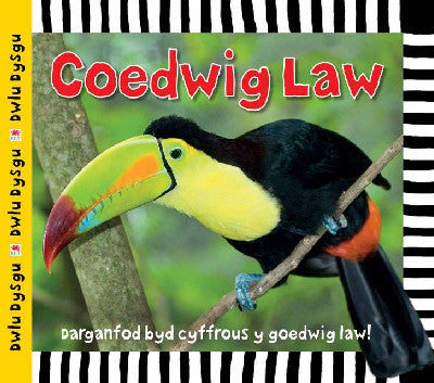 Clawr llyfr / Book cover: Cyfres Dwlu Dysgu: Coedwig Law