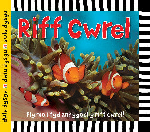 Cyfres Dwlu Dysgu: Riff Cwrel