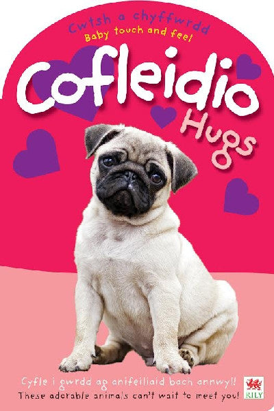 Clawr llyfr / Book cover: Cwtsh a Chyffwrdd: Cofleidio / Baby Touch and Feel: Hugs