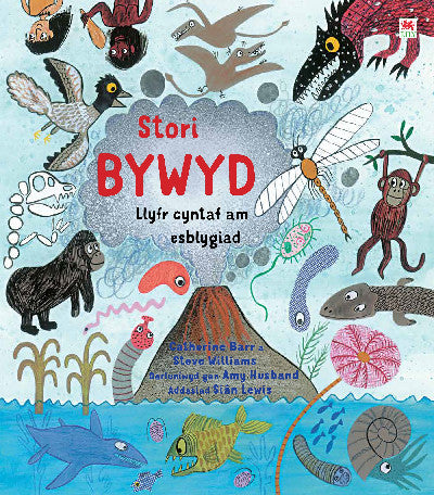 Clawr llyfr / Book cover: Stori Bywyd