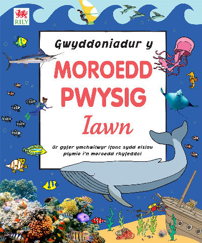 Clawr llyfr / Book cover: Gwyddoniadur y Moroedd Pwysig Iawn
