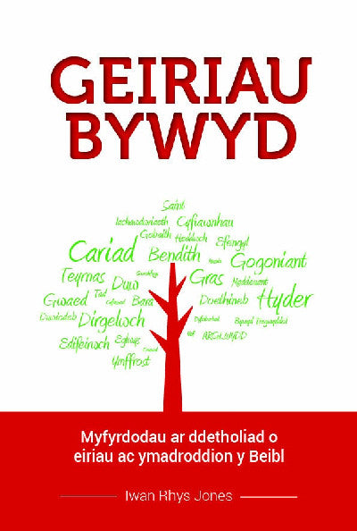 Clawr llyfr / Book cover: Geiriau Bywyd — Myfyrdodau ar Ddetholiad o Eiriau ac Ymadroddion Beiblaidd