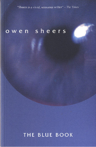 Clawr llyfr / Book cover: Blue Book, The
