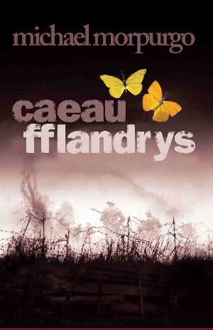 Caeau Fflandrys