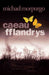 Caeau Fflandrys