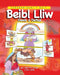 Beibl Lliw Dewis a Dethol