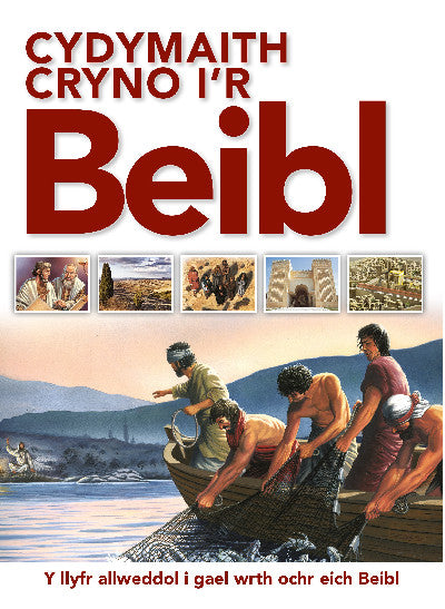 Clawr llyfr / Book cover: Cydymaith Cryno i'r Beibl