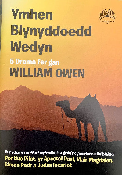 Clawr llyfr / Book cover: Ymhen Blynyddoedd Wedyn