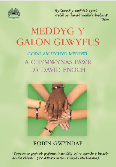 Clawr llyfr / Book cover: Meddyg y Galon Glwyfus - Gofal am Iechyd Meddwl a Chymwynas Fawr Dr David Enoch — Gofal am Iechyd Meddwl a Chymwynas Fawr Dr David Enoch