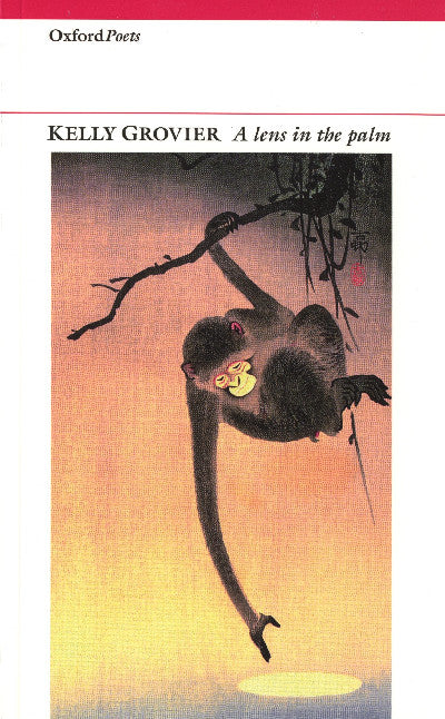 Clawr llyfr / Book cover: Lens in the Palm, A