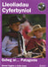 Lleoliadau Cyferbyniol: Golwg ar ... Patagonia