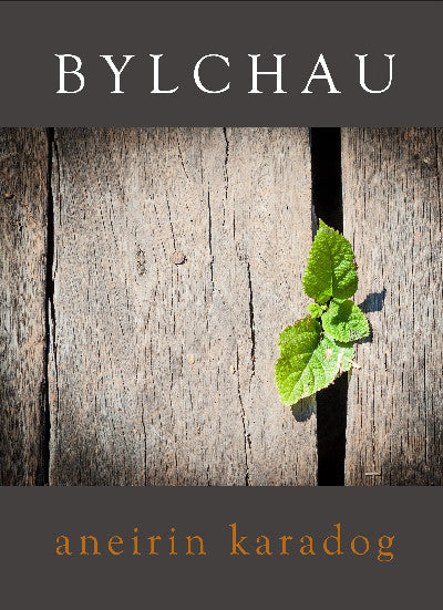 Clawr llyfr / Book cover: Bylchau