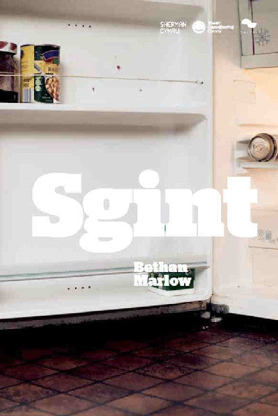 Clawr llyfr / Book cover: Sgint